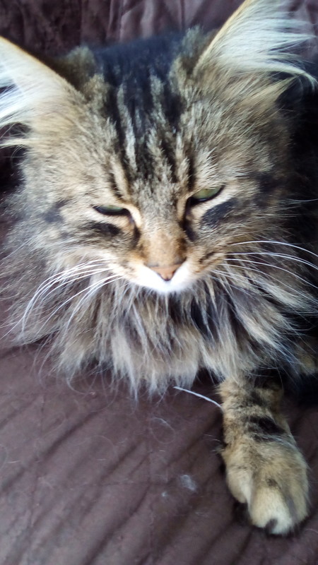 Un coucou ..occupée avec séances kiné...